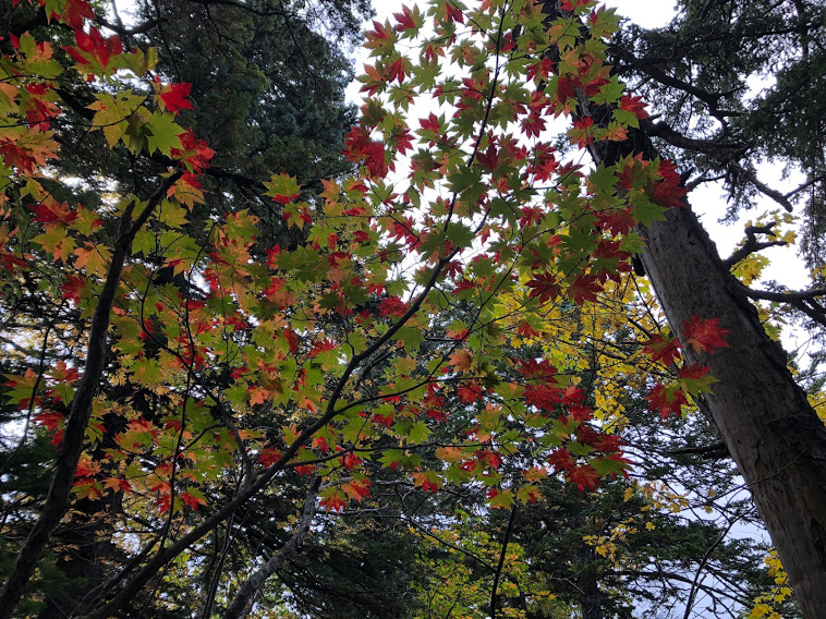 斜里岳三井コース_10月