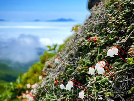羅臼岳から北方領土を望む