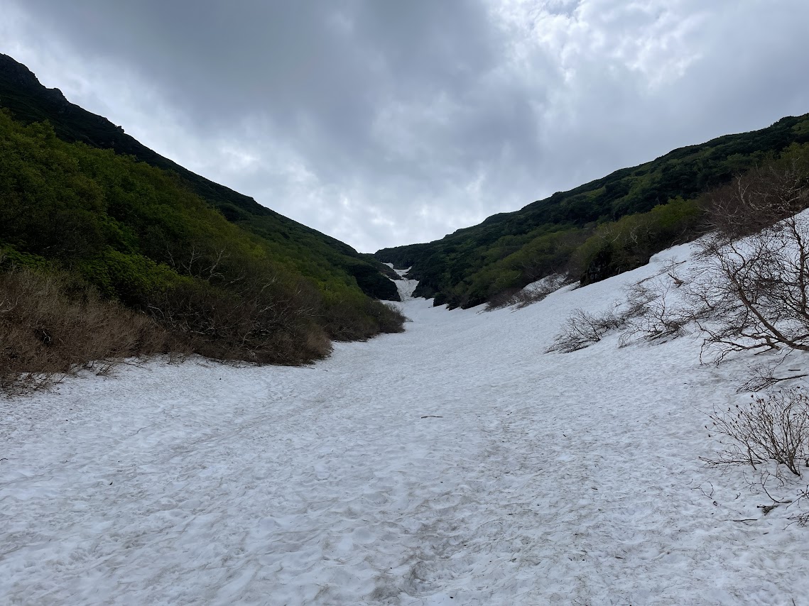 羅臼岳 6月