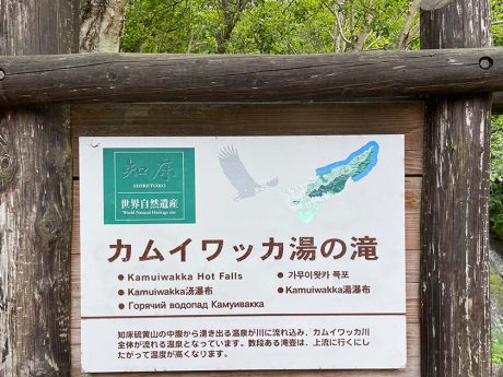 2024年最新 カムイワッカ湯の滝は、ガイドと一緒に訪れるのが一番！ 楽しみ方ガイド
