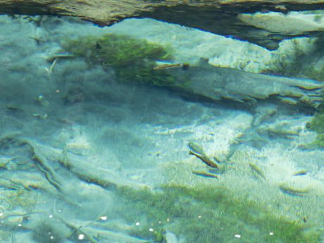 年末のご挨拶と新春放送のお知らせ