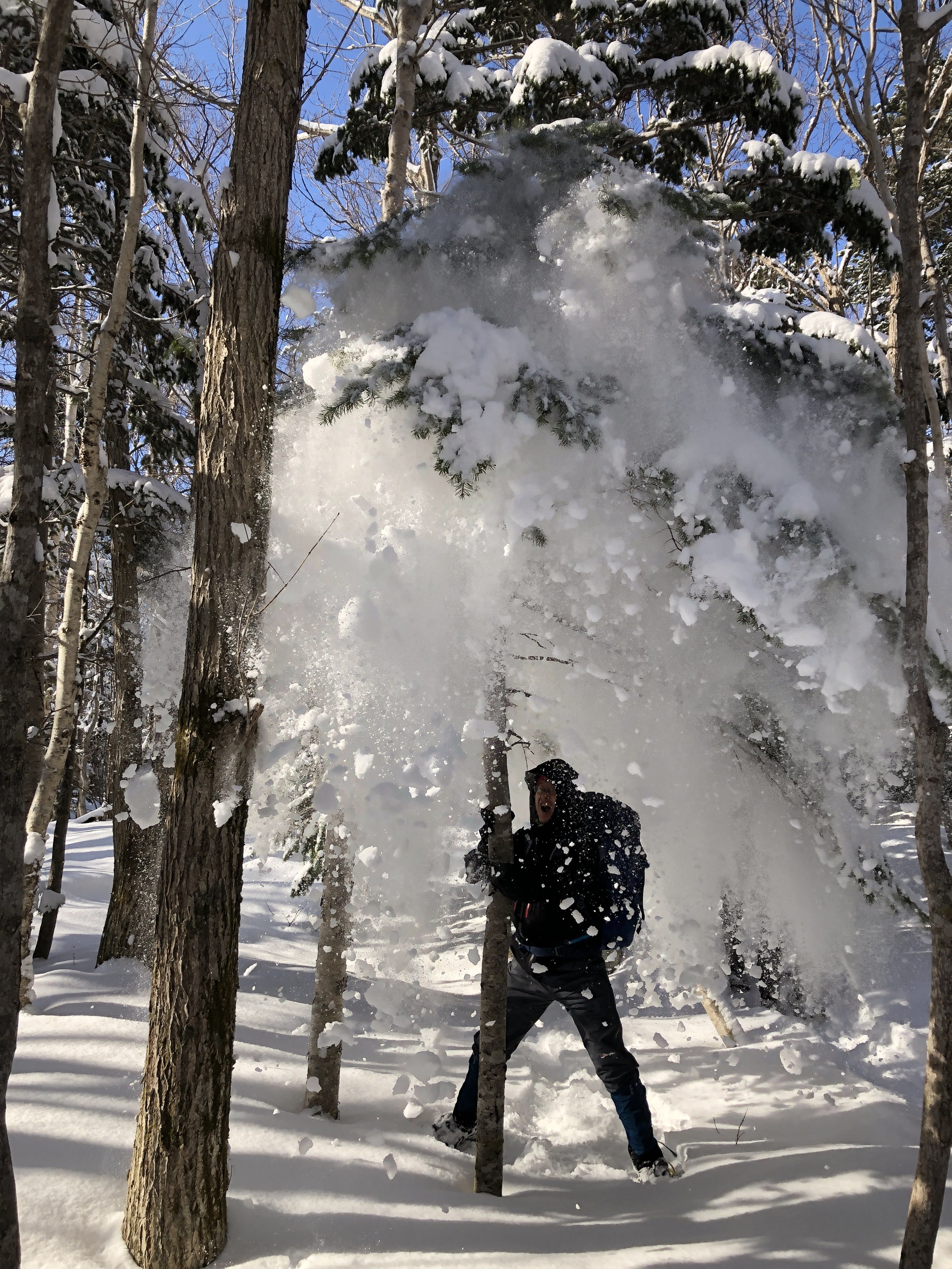 雪浴び