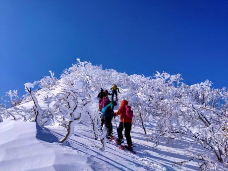 冬プラン終了のお知らせと4月のスケジュール