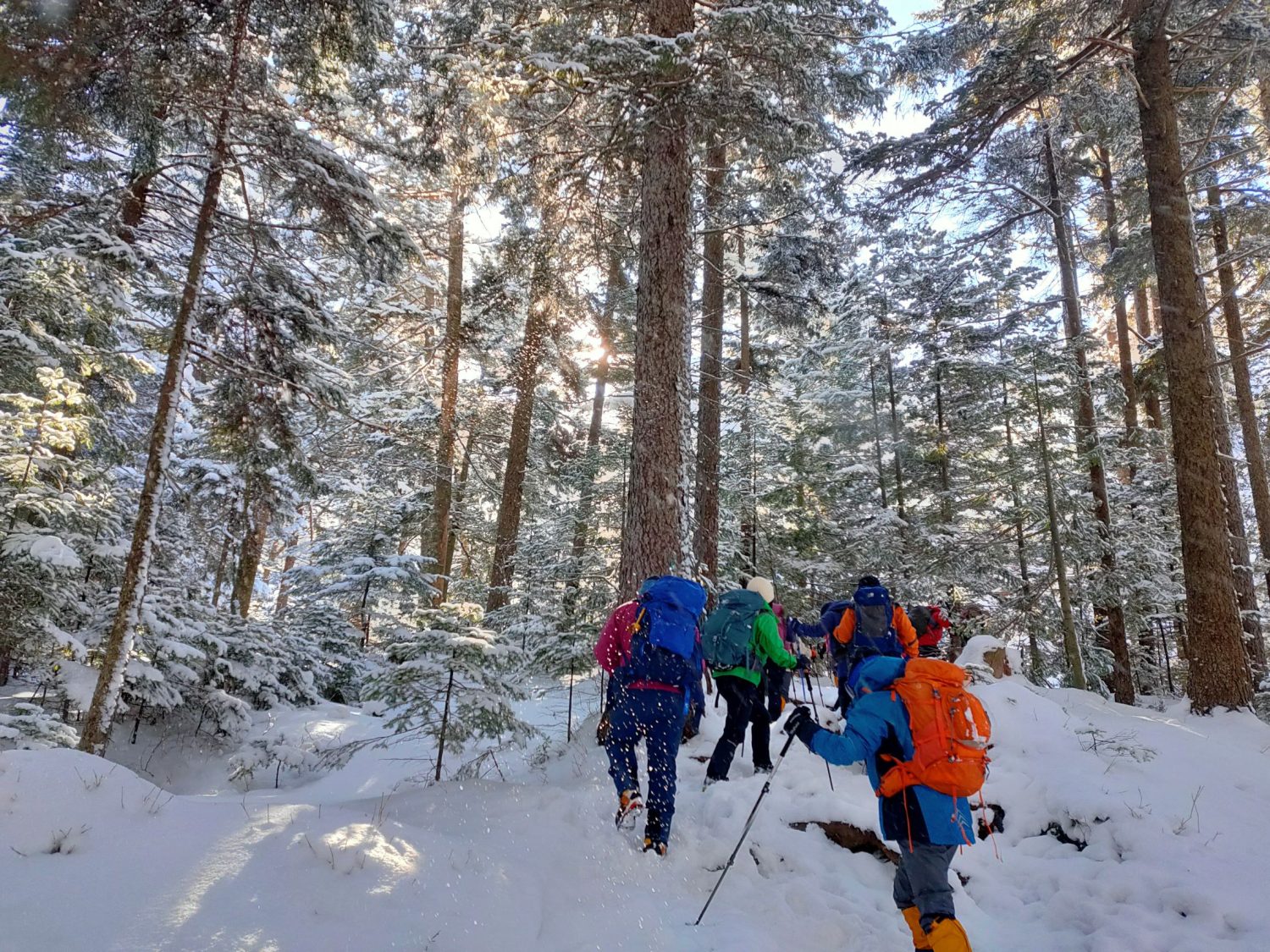 休業のお知らせ